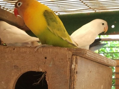 2013-05-12 12.43.13.jpg