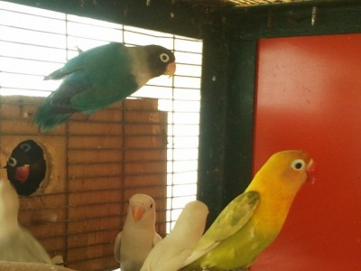 2013-05-12 12.41.32.jpg