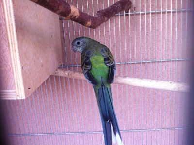 IMG_2179 (Medium).JPG