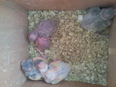 Photo046 (Large).jpg