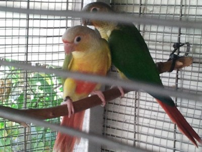 2013-05-31 17.18.38.jpg