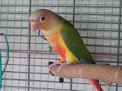 2013-05-31 17.46.35.jpg