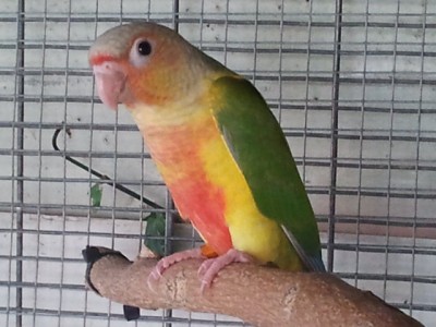 2013-05-31 17.47.36.jpg