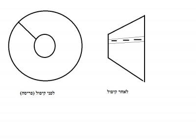 צווארון לתוכי.jpg