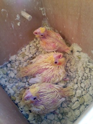 Photo013 (Large).jpg