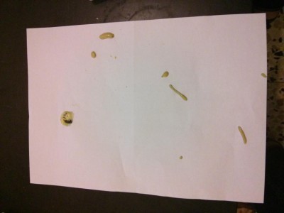 IMG_20130620_220158 (1).jpg