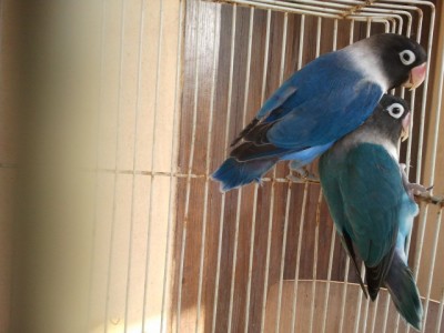 2013-07-08 17.45.27.jpg