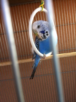 IMG_2599 (Large).JPG