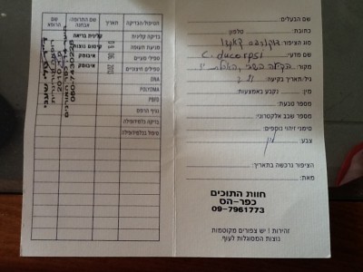 פנקס בריאות