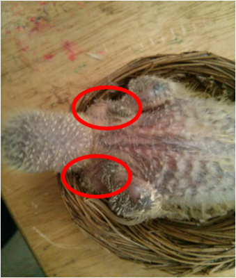 זה מה שאמרתי על השני צדדים