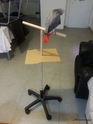 אני לא סגורה שאני עפה על הרעיון