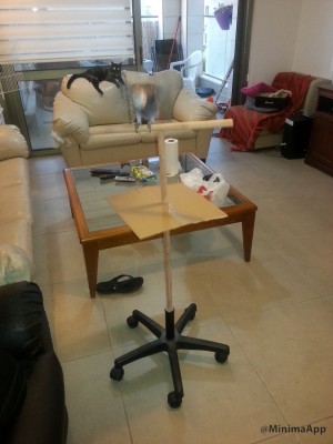 אפשר לחזור כבר לכלוב???!!!!!