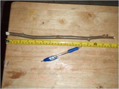 סימון מקום הניסור.jpg