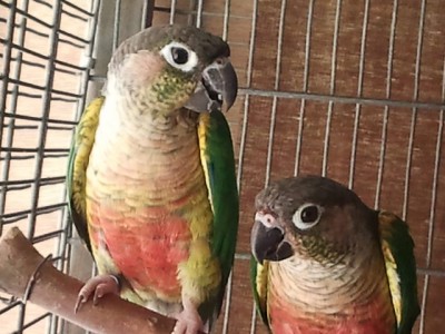2013-08-02 14.39.53.jpg