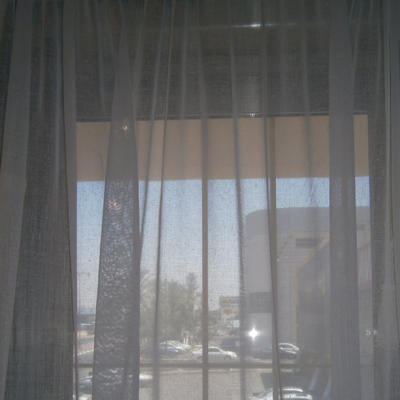 רענן תוכים.JPG