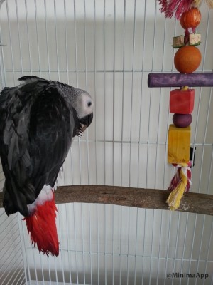 מתייבשים.....