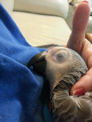 כמובן, מתפנקת על אמא....