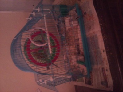 גם ללא תא הטלה