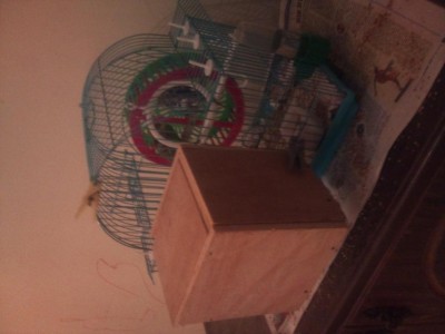 הכלוב עם תא הטלה