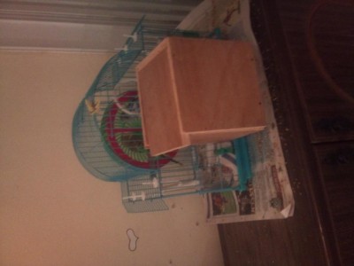 גם עם תא הטלה