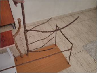 זה הענף שדיברתי על ההתלבטות שלי