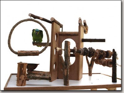 מגרש משחקים לתוכי