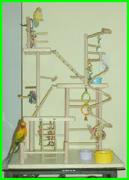 מגרש משחקים לתוכי