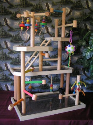 מגרש משחקים לתוכי