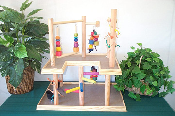 מגרש משחקים לתוכי