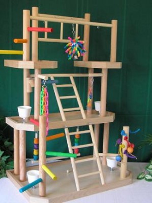 מגרש משחקים לתוכי