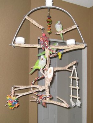 מגרש משחקים לתוכי