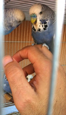 IMG_2855 (Medium).JPG