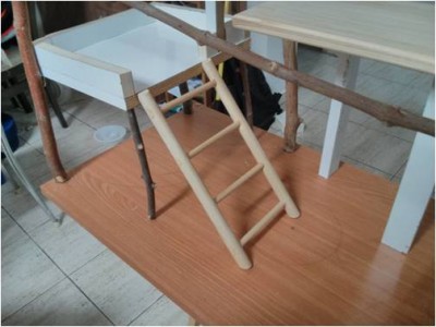 המדף הראשון