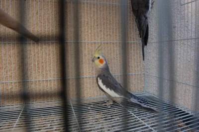 DSC_0327.jpg