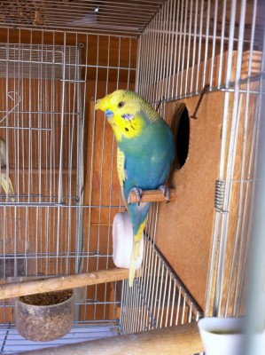 IMG_3075 (Medium).JPG