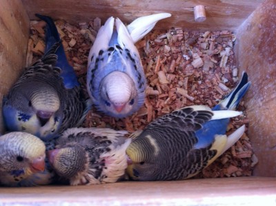 IMG_3078 (Medium).JPG