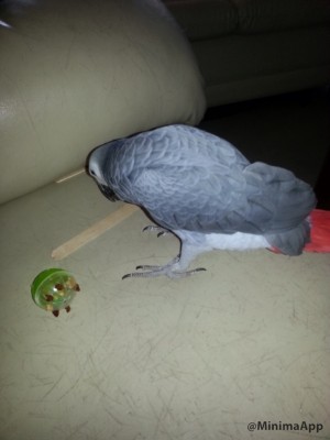 מה זה השטויות האלה????