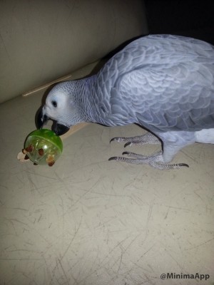 טוב, בואו נחקור את העניין...