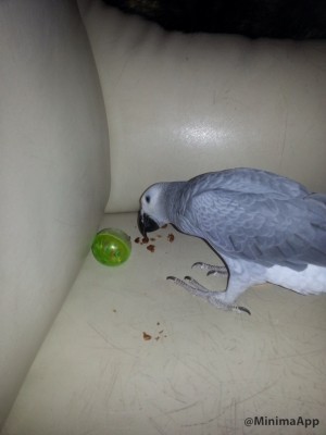 .... כעבור 5 דקות.....