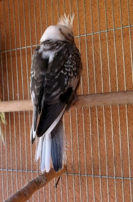 IMG_3190 (Medium).JPG