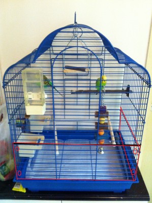 מסגרת פרספקס.jpg