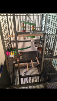 הארמון של גריי4.PNG