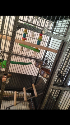 הארמון של גריי2.PNG