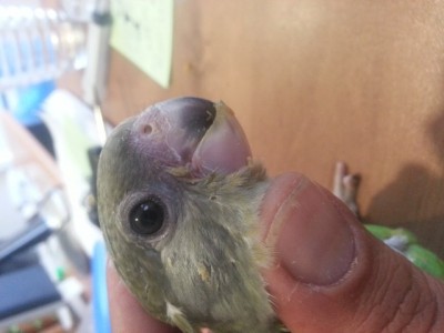 20131023_173304 (Small).jpg