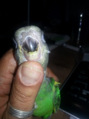 20131023_175029 (Small).jpg