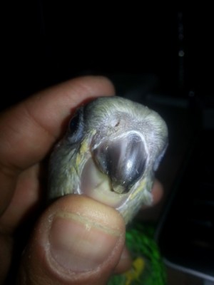 20131023_175055 (Small).jpg