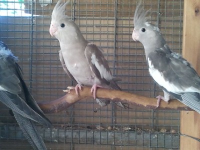 2013-06-21 17.26.54.jpg