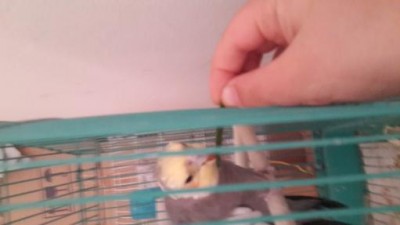 20131119_152333 (1).jpg