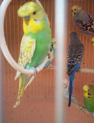 Photo039 (Large).jpg