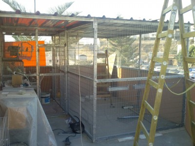 Photo002 (Large).jpg